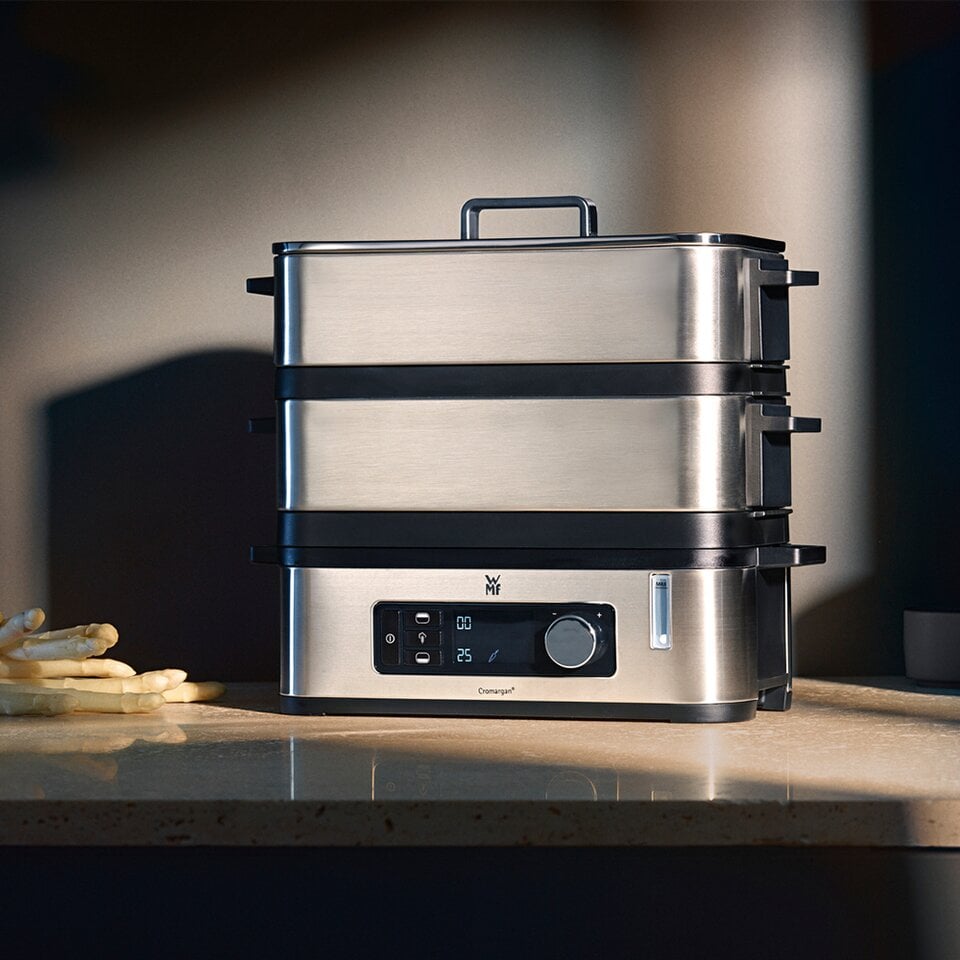 بخار پز برقی خارجی